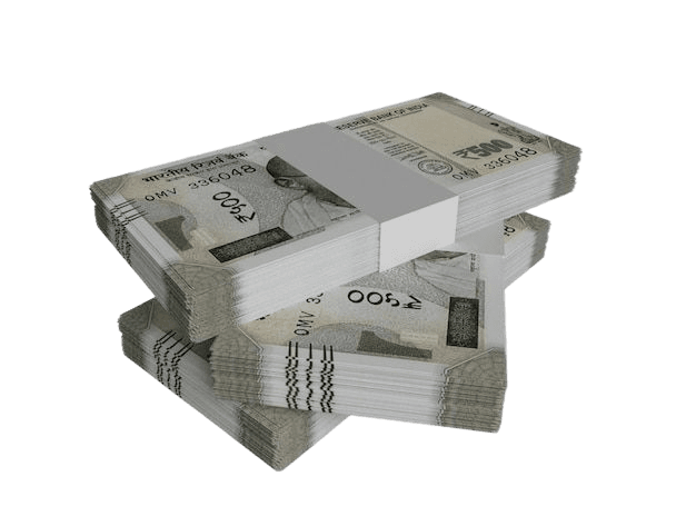 Government Support